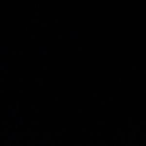 I have order some bows and will post them when they arrive